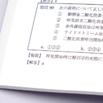 オンデマンド印刷と無線綴じ製本で作成した小冊子（テキスト・問題集）の本文ページの余白の大きさがわかる画像です。