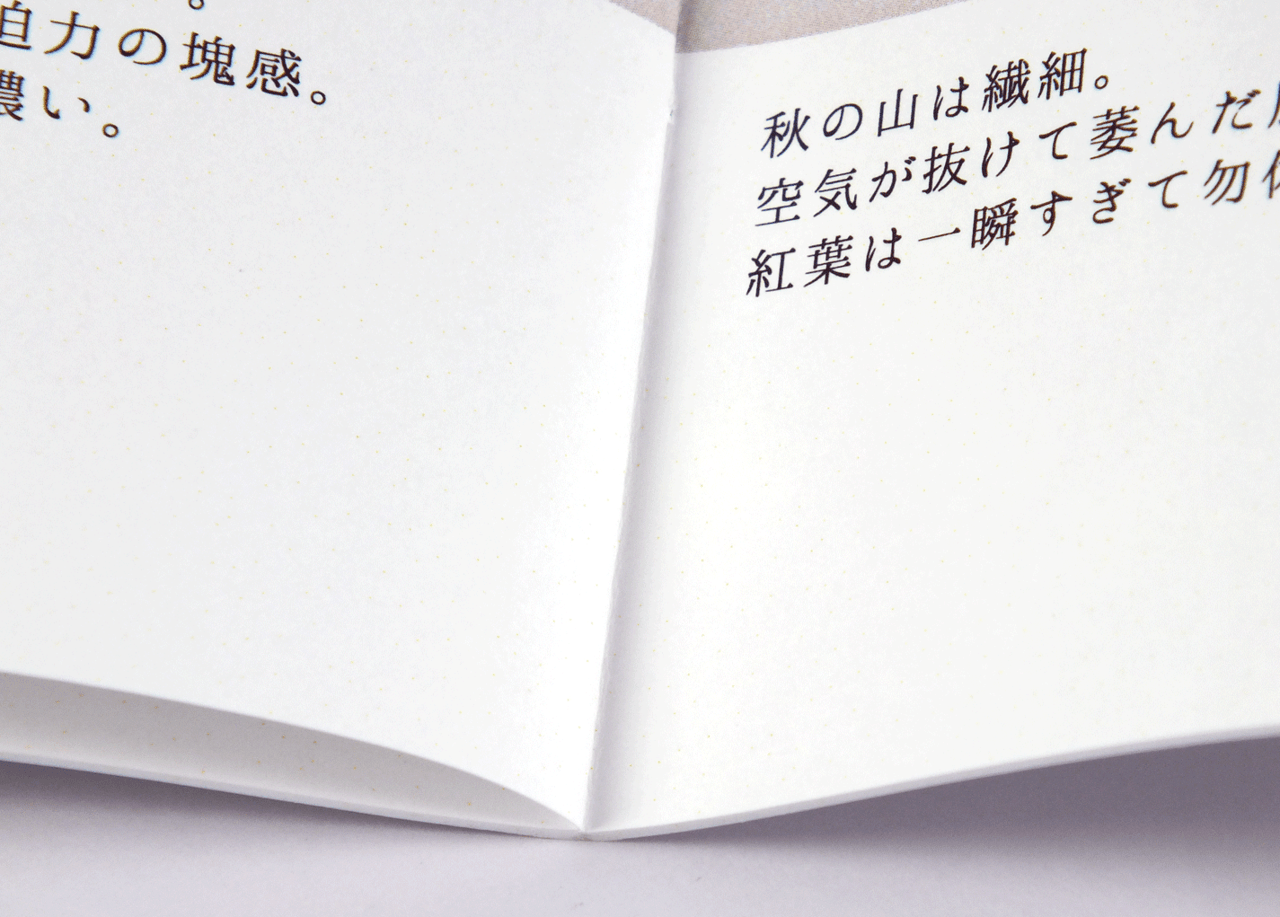 オンデマンド印刷と中綴じ製本で作成した小冊子（ZINE）に使用された文字の大きさを示す拡大画像です。